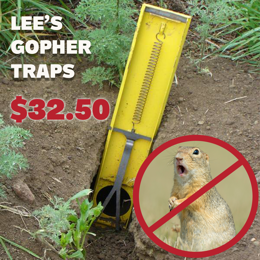 Gopher Traps